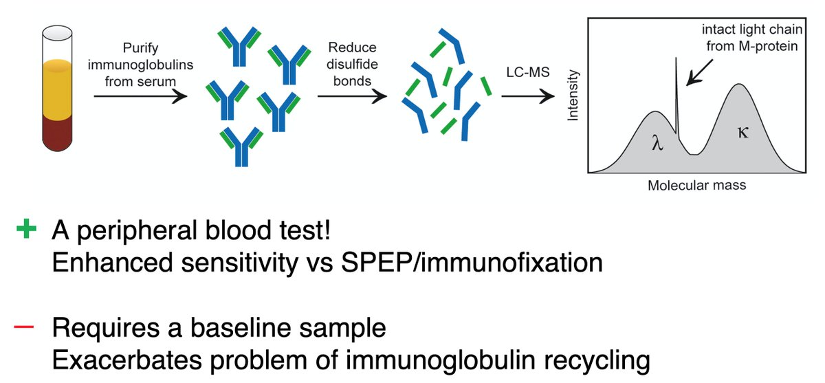 Mass spec looks for the protein product at a heightened sensitivity vs. SPEP/IFIX. We wanted to know if mass spectrometry performed on peripheral blood samples of patients uniformly treated w/ KRd & ASCT on a phase 2 study could approximate high sensitivity bone marrow assays /3