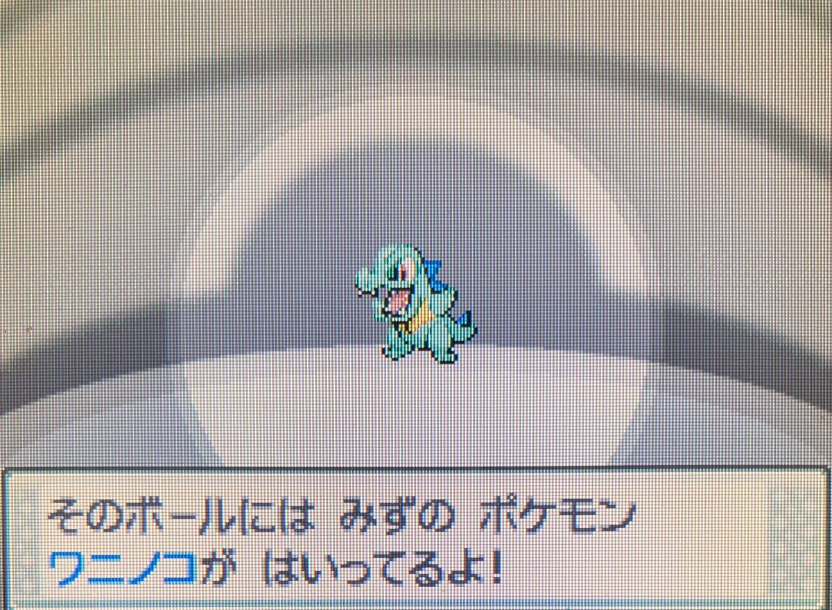 アリス ワニノコも無事に色違い出た ダブルスロットさまさま アリス ワニノコも無事に色違い出た ダブルスロットさまさま
