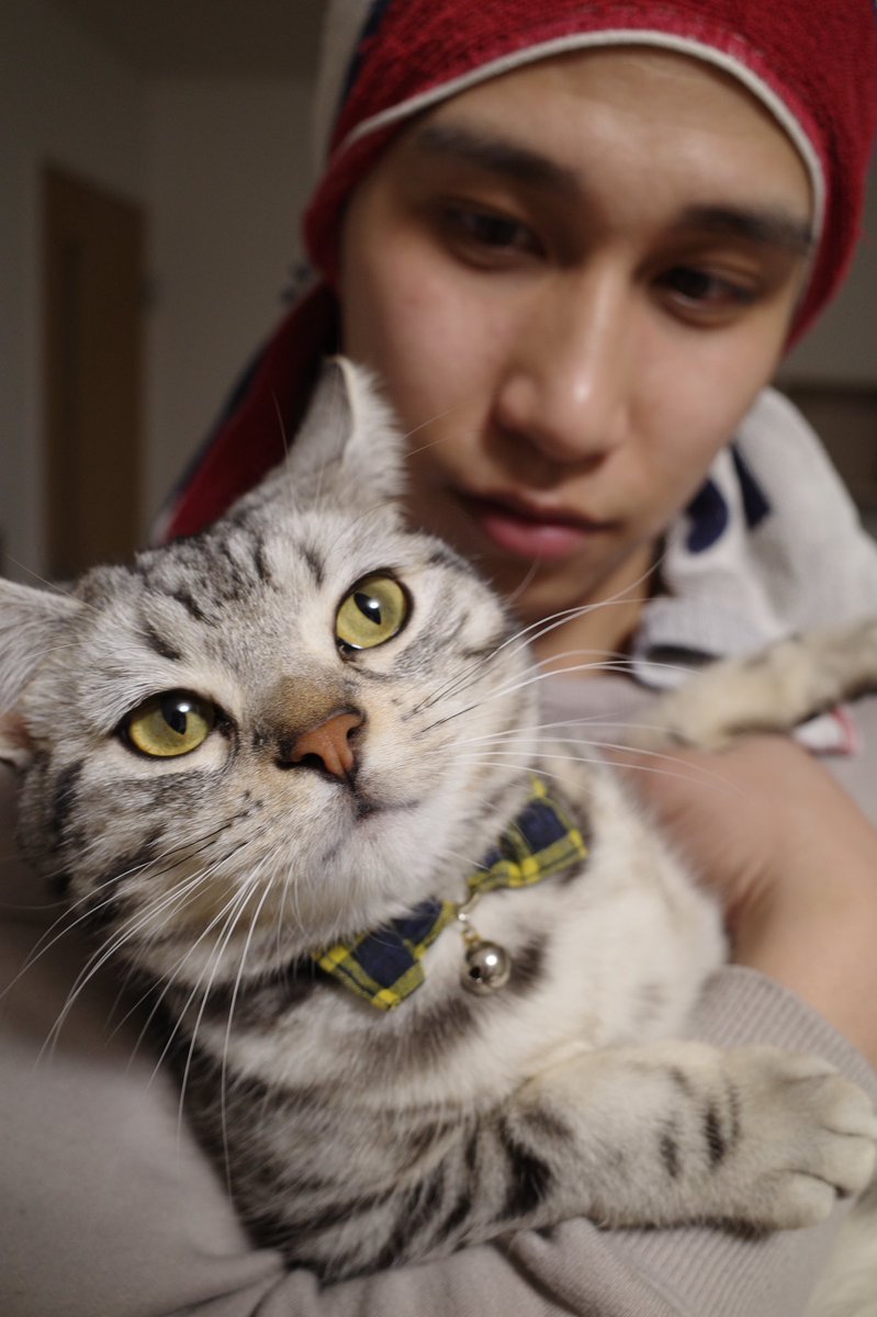 抱っこ嫌い猫 抱っこ嫌い猫