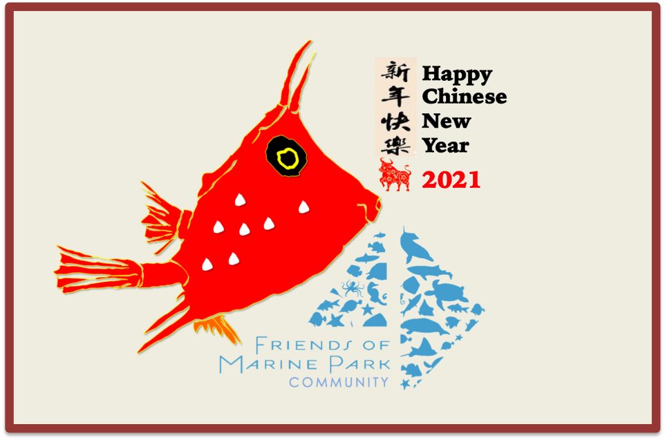 sgmarineparks's tweet photo. Happy Chinese New Year from all of us at the #FriendsOfMarinePark Community | #SistersIslandsMarinePark #YearOfTheOx https://t.co/kKjrOZo2mQ