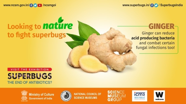 Superbugs India Exhibition tweet media