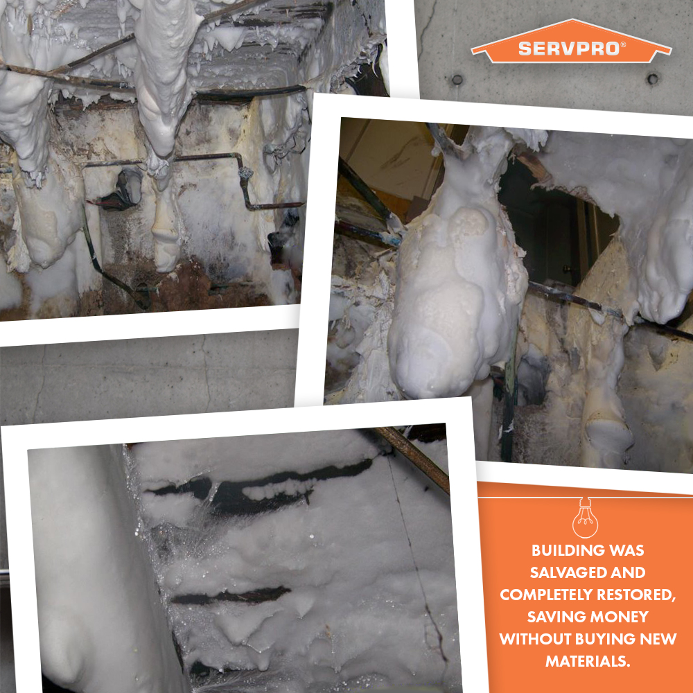 That's not foam or ice. This extreme clean is from down south and had some of the largest amounts of mold we've ever seen in our business. Fortunately, we were able to remove the mold and restore the home while saving a lot of money on expensive new materials.