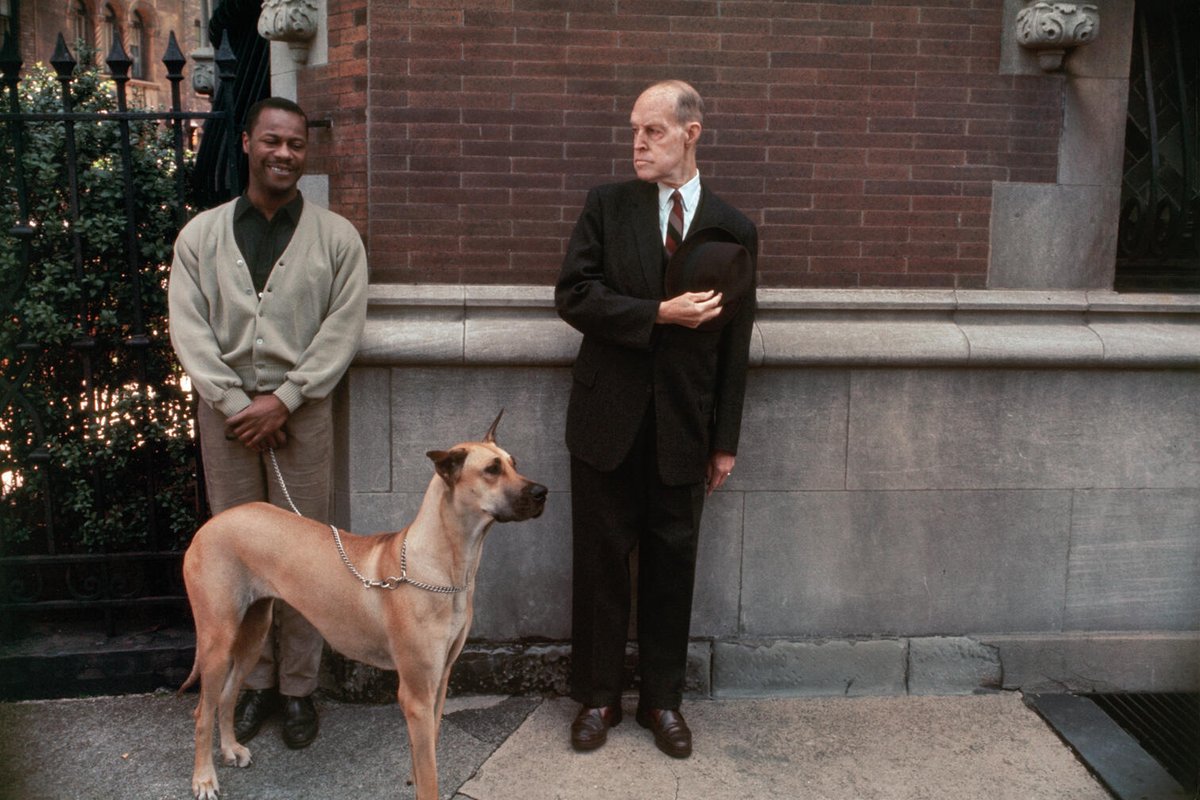 il_javi_'s tweet photo. "En lugar de “tomar”, prefiero decir “HACER” fotografías." -    #JoelMeyerowitz https://t.co/SeJA3JuDws https://t.co/8N20BFdjxX