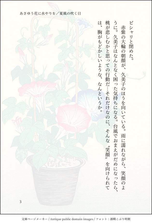 あさがお百合 Min T ミント あさがお百合 Min T ミント