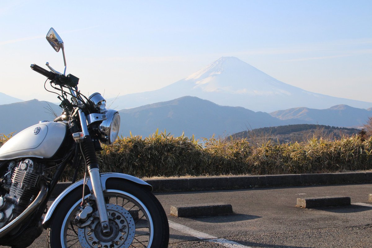 チャンタ tweet media