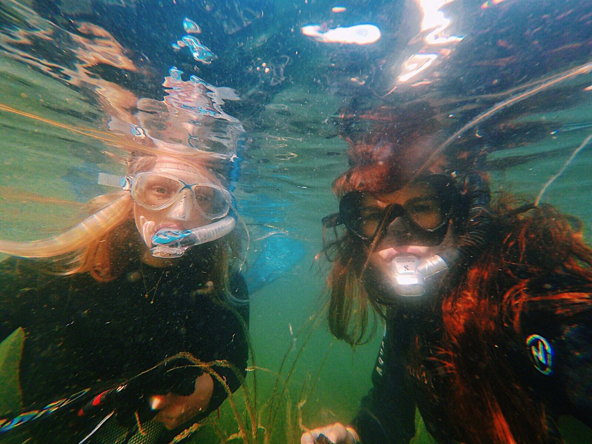 Today is the International Day of Women and Girls in Science 👩‍🔬

We all stand to benefit from a greater participation of #WomenInScience. We are so proud to work with an inspiring team of women who help shape Project Seagrass.

The world needs science and science needs women.