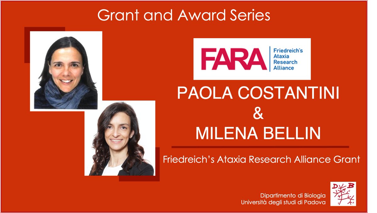 Department of Biology – University of Padova (@dibio_unipd) on Twitter photo 📢<a href="/PaolaCo56219781/">Paola Costantini</a> & <a href="/MilenaBellin/">Milena Bellin</a>
are among the #winners of the Friedreich’s Ataxia Research Alliance Grant <a href="/CureFA_org/">FA Research Alliance</a>
They will use #stem cell technology to build #minihearts to investigate several approaches to correct the mitochondrial and cardiac defects. 📢<a href="/PaolaCo56219781/">Paola Costantini</a> & <a href="/MilenaBellin/">Milena Bellin</a>
are among the #winners of the Friedreich’s Ataxia Research Alliance Grant <a href="/CureFA_org/">FA Research Alliance</a>
They will use #stem cell technology to build #minihearts to investigate several approaches to correct the mitochondrial and cardiac defects.
