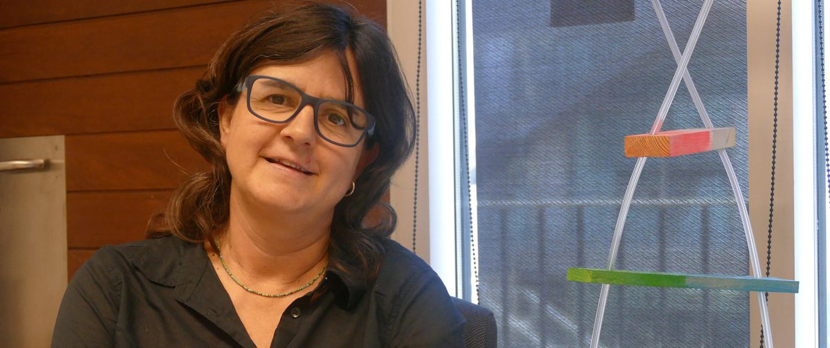 sesbe_org's tweet photo. @maralbasoler lidera el grupo de Genómica Evolutiva en el @imimat. Investiga cómo aparecen los nuevos elementos funcionales en los genomas, así como su evolución posterior. También estudia el papel de las secuencias repetitivas en la formación de nuevos dominios proteicos. https://t.co/jQDlQLf1ov