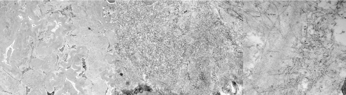 Jean Hou, MD tweet media