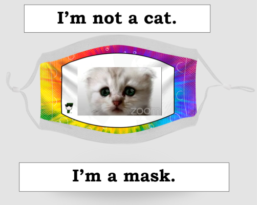 We couldn't resist participating in the "I'm not a cat" meme! Come check out our custom masks at masks4missions.org/shop. All net profits are given to our nonprofit partners! #cats #catlawyer #catmeme #Memes #notacat #funnymeme