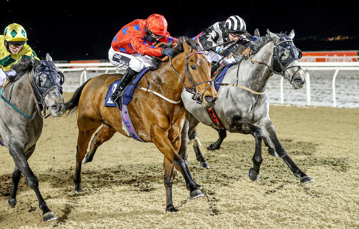 Newcastle Racecourse (@newcastleraces) on Twitter photo RACE 5 RESULT – <a href="/Betway/">betway</a> Casino Handicap
🥇Fendale
🥈Pearl Of Qatar
🥉Rebel Redemption
Jockey: Graham Lee
Trainer: <a href="/bryansmartracin/">Bryan Smart Racing</a>
Owners: S Chappell & Partner
📸: <a href="/grossickphoto/">GROSSICK PHOTOGRAPHY</a> RACE 5 RESULT – <a href="/Betway/">betway</a> Casino Handicap
🥇Fendale
🥈Pearl Of Qatar
🥉Rebel Redemption
Jockey: Graham Lee
Trainer: <a href="/bryansmartracin/">Bryan Smart Racing</a>
Owners: S Chappell & Partner
📸: <a href="/grossickphoto/">GROSSICK PHOTOGRAPHY</a>