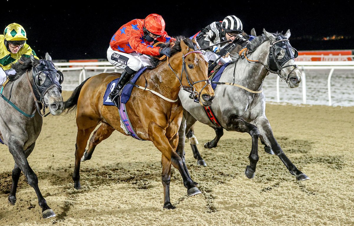 RACE 5 RESULT – @Betway Casino Handicap 🥇Fendale 🥈Pearl Of Qatar 🥉Rebel Redemption Jockey: Graham Lee Trainer: @bryansmartracin Owners: S Chappell & Partner 📸: @grossickphoto