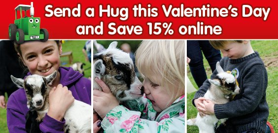 Spread the love and send a hug this Valentine's weekend! ❤ ❤ ❤ - mailchi.mp/68952aae2fb4/v…