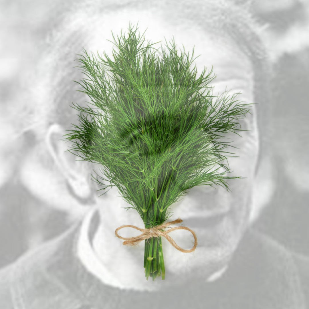 CROP HARDER, slayves of industrial soc.
Youll be in Dust or in Trial soon. 
It's up to You to decide?
No, It's up to the CROP