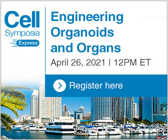 CellPressNews's tweet image. Discuss the hottest topics in #organoids &amp;amp; #organengineering from the convenience of your own desk on April 26, 2021 #CellSymposiaExpress #CSOrganoids2021. Register for free: hubs.ly/H0GrM8Y0