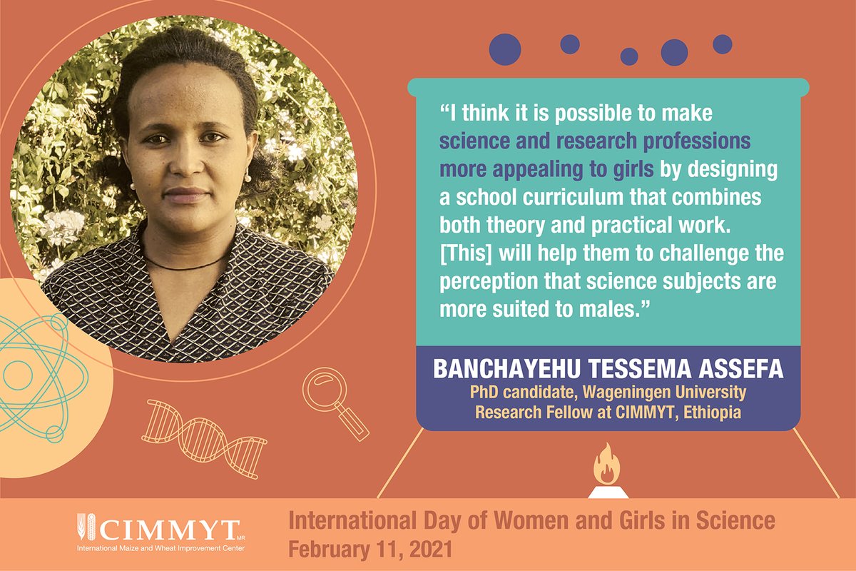 CIMMYT's tweet photo. 👩‍🔬 Careers to inspire young researchers: Banchayehu Tessema Assefa is a PhD candidate at @WUR &amp; Graduate Fellow at CIMMYT. https://t.co/OExLCh0oJS 

#WomenInScience #WhyIChoseScience #WomenInSTEM

@CGIARgender @UN_Women @WomenScienceDay @banchtes https://t.co/LrHzyWLvFO