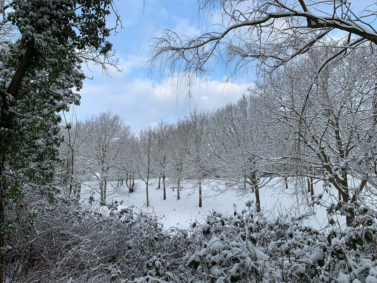 lisajluke's tweet photo. Winter Wonderland 

#whitstable #kent #winter2021 #winter #WinterWonderland #snow #SnowDay #woodlandwalks #landscape #landscapephotography @WhitstableLive @VisitCanterbury @VisitKent @bbcsoutheast https://t.co/aWplO5pZrJ