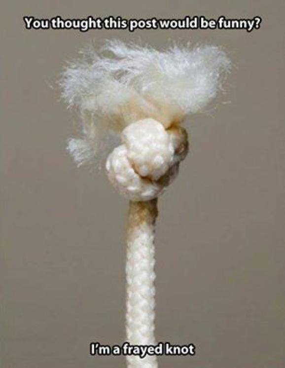 sweetsheets's tweet photo. Well ... it was worth a try! Happy Thursday twitterverse!! 
#frayednot #funny #sorrynotsorry #thursday https://t.co/tyXfdtDNwe