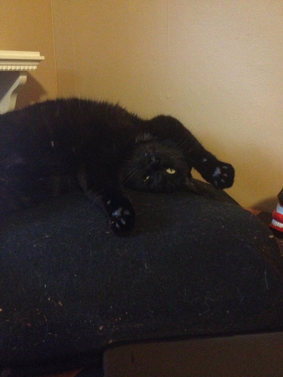 Frinigus tweet media