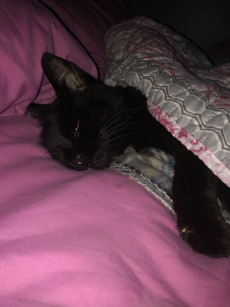 Frinigus tweet media