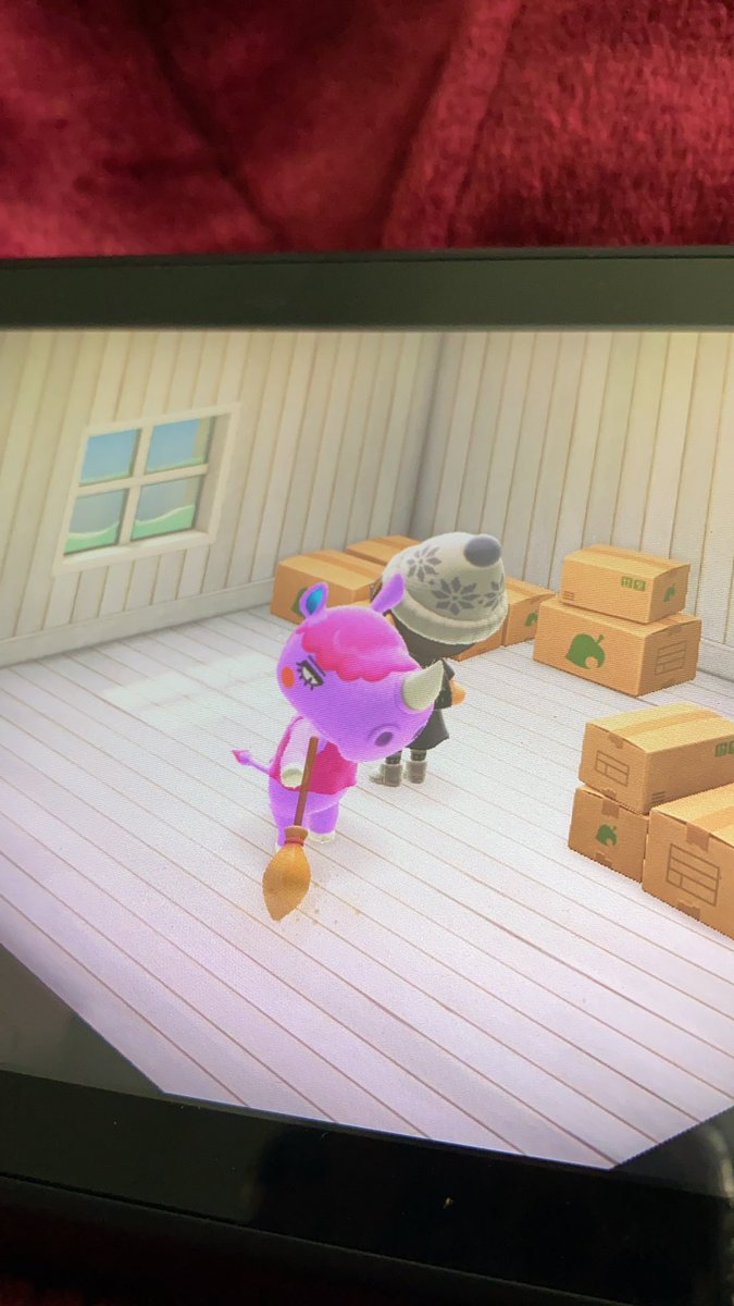 sallymckerral's tweet photo. Got Renée in boxes if anyone wants her 💖 #animalcrossing #acnh https://t.co/YDBhT9KlbU