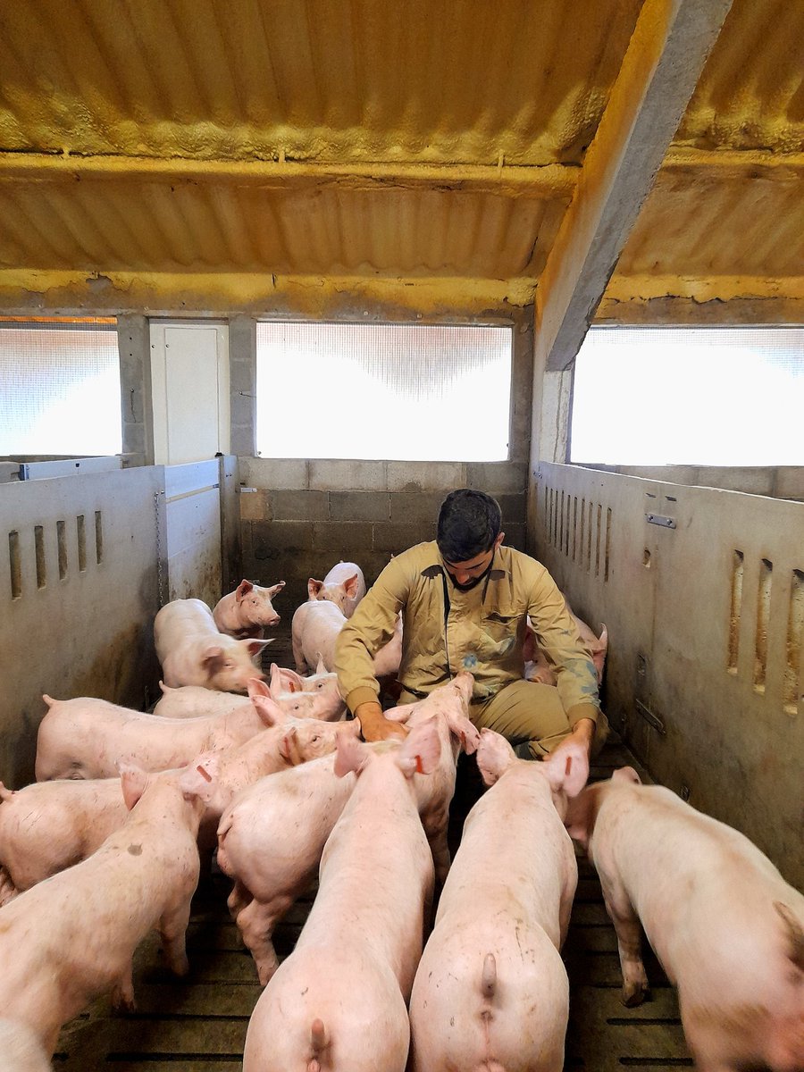 Bona tarda, aqui un ramader desconeixedor dels drets dels animals. Però molt conscient del benestar i l'estima cap als seus. Som rebost, som futur! Endavant
<a href="/adnrural/">REM ADNRural</a>