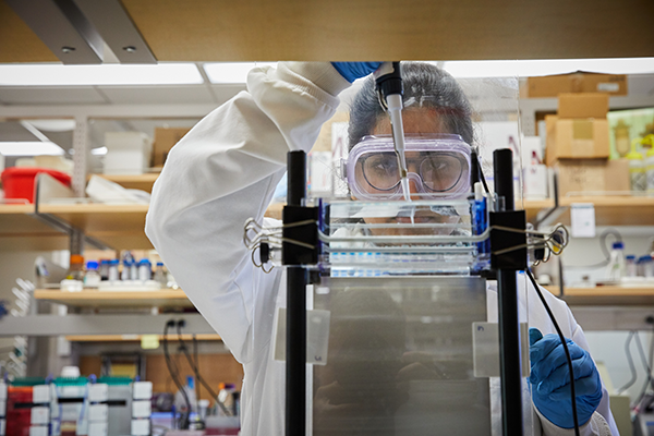 Today is the International Day of Women and Girls in Science. We recognize the OU women working hard to solve global challenges through research, as well as dismantle gender imbalances in STEM fields.  

Meet our OU women scientists here: link.ou.edu/womeninscience.