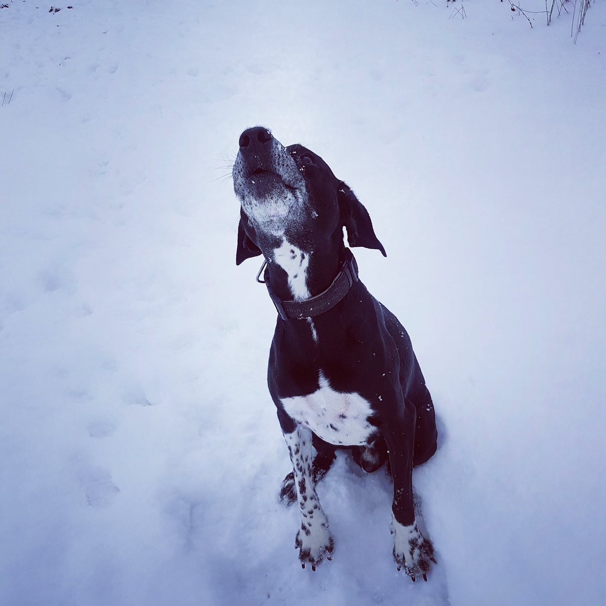 InspirationWald (@inspirationwald) on Twitter photo 