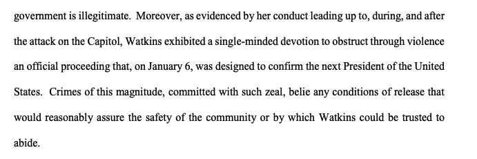 Prosecutors arguing to keep Jessica Watkins in pretrial detention: "Crimes of this magnitude, committed with such zeal, belie any conditions of release that would reasonably assure the safety of the community or by which Watkins could be trusted to abide."