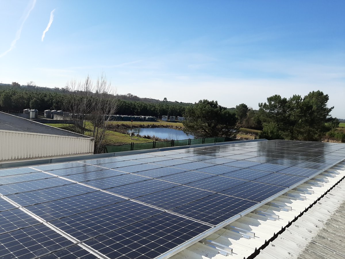 BASE Innovation tweet media