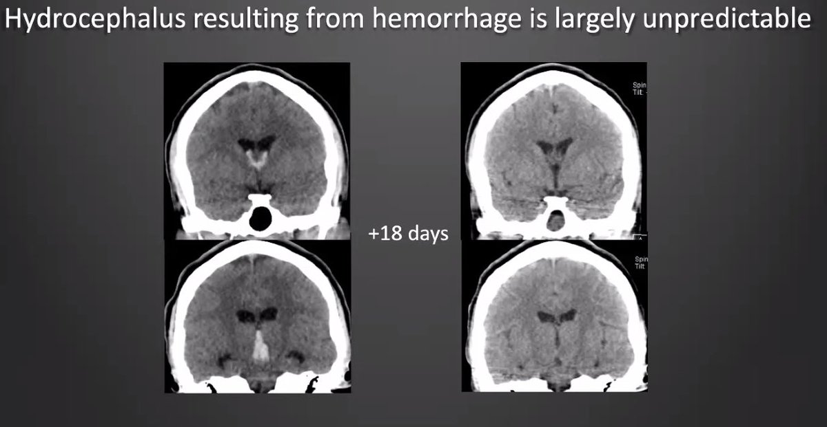 jv coumans tweet media