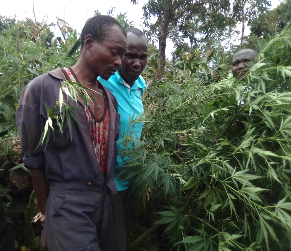 CountyfmRadio's tweet photo. Maovisa ma volisi sub kauntini ya Kibwezi kauntini ya Makueni nimaendeeye kusiiya munduume umwe kuma kisioni kya Kikunduku ula weethiawa avandite itina  97 sya  vangi. https://t.co/bvO3CCuNm4