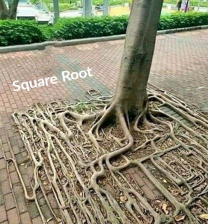 Perfect example👍

#Python #rstats #java #javascript #AWS #100DaysOfCode #ReactJS #Coding #CloudComputing #HTML #Serverless #cybersecurity #DataScientist  ⁣#Linux #Programming ⁣⁣