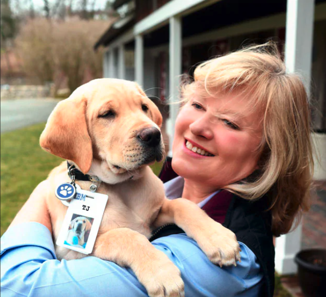 IBMwatsonx's tweet image. #IBMWatson partnered with @GuidingEyes to process more than 20 years of unstructured behavioral data— from both human and canine — to predict the best match between the trainer and seeing-eye puppy: ibm.co/3aL28pV 🐶 💡