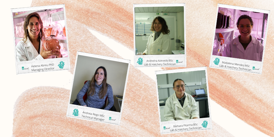 ALGAplus's tweet photo. In this International Day of Women and Girls in Science, we present you our leading innovation ladies 👩‍⚕️🧪🔬

May they inspire gender equality and the empowerment of women and girls, to overcome all barriers 💪

#algaplus #WomenInScienceDay #seaweedfarmers https://t.co/glfppkgCSz
