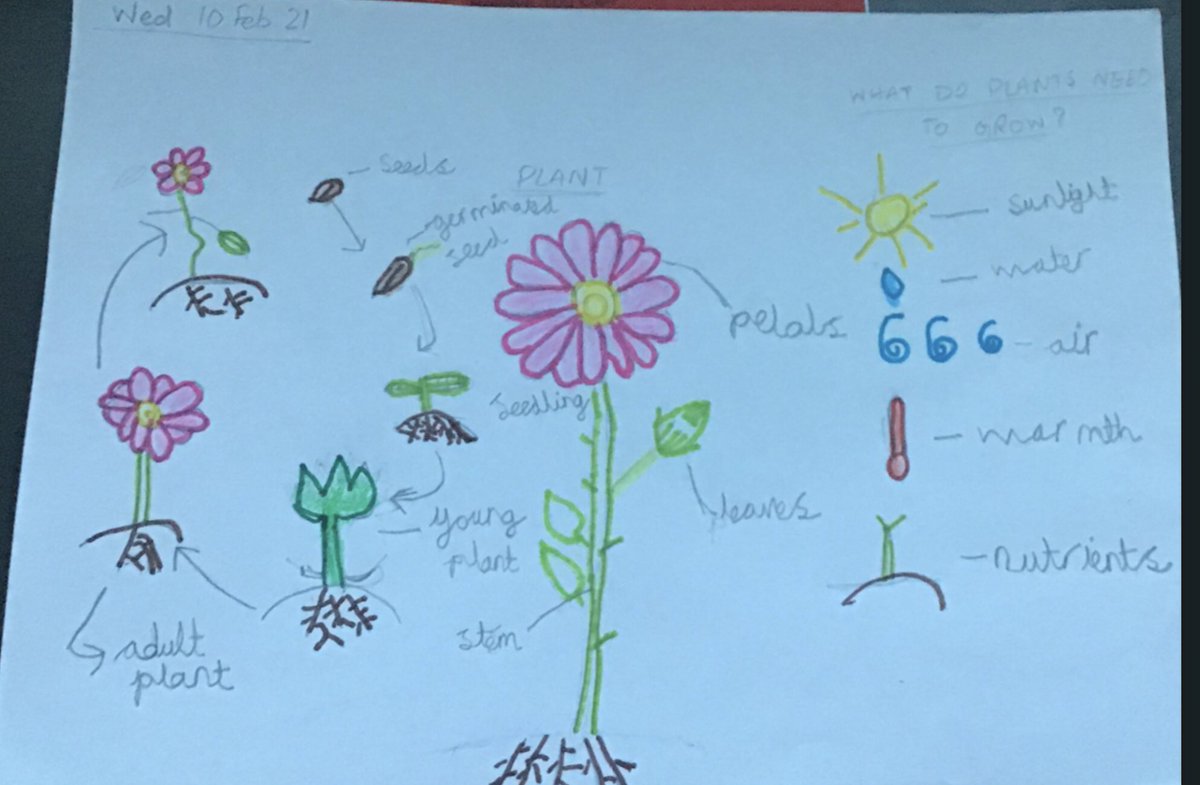 Mrs S Shahid tweet media