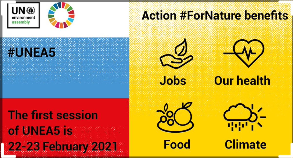 IISD_ENB's tweet photo. #GMGSF wraps up with strong calls from Major Groups and Stakeholders for #UNEA5 to demonstrate leadership for an ethical, inclusive, rights-based, and green transition.
#BuildForwardBetter #2030Agenda #ForNature #DecadeforAction
https://t.co/C0VJwJ3y6y https://t.co/GSZDLJX6LG