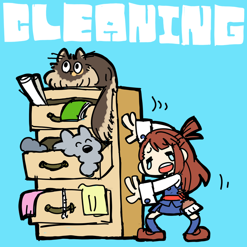 リトアカ見始めた頃に部屋の掃除をしてたんだけど、何故部屋の掃除をする気になったのか思い出せない… 