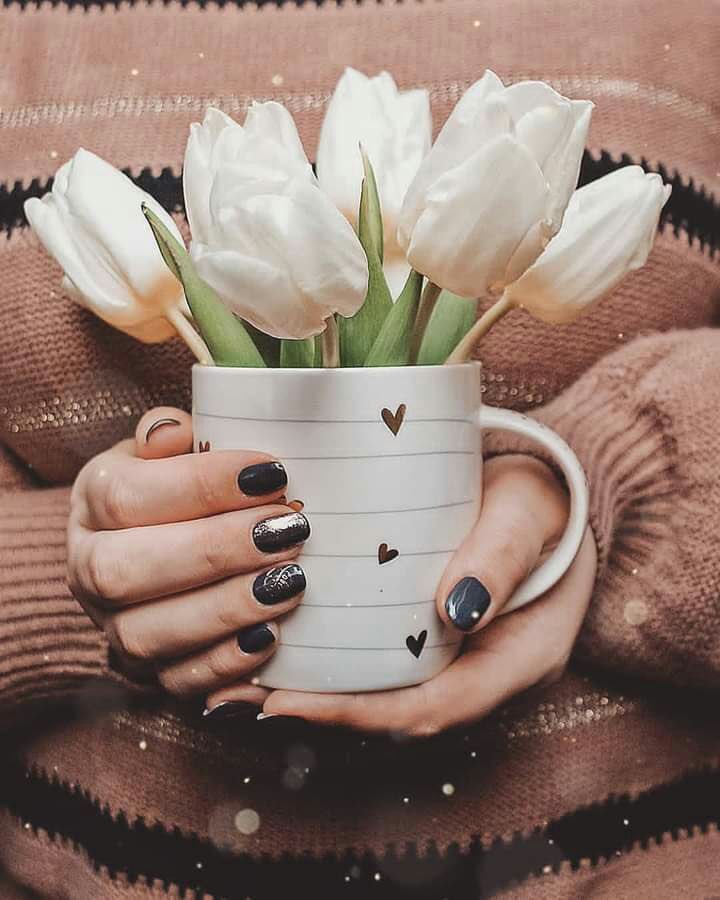 ♡
#لا_تَجعل البشر مرآةً لـِ أَخلَاقگ ؛ #إنْ أساؤوا أسَأت و إنْ أحسَنوا إليگ أحسَنتْ ..!!
#ڪُنْ أنتَ مصدرَ الضّوء ؛ #ولا تَڪُن إنعڪاساً لـہُ ..
✨🎀