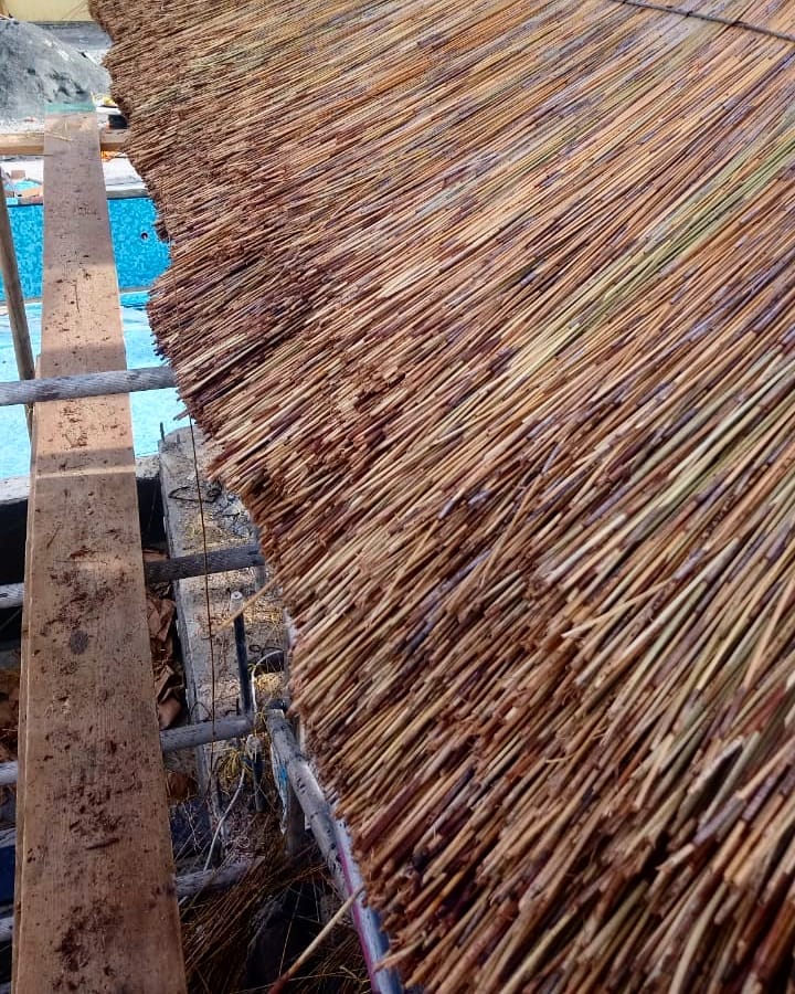CapeReed's tweet photo. Best part of the job... Thatching!!
#thatch #thathing #thatchers #thatchedroof #gazebo https://t.co/6rTKrAjsYW