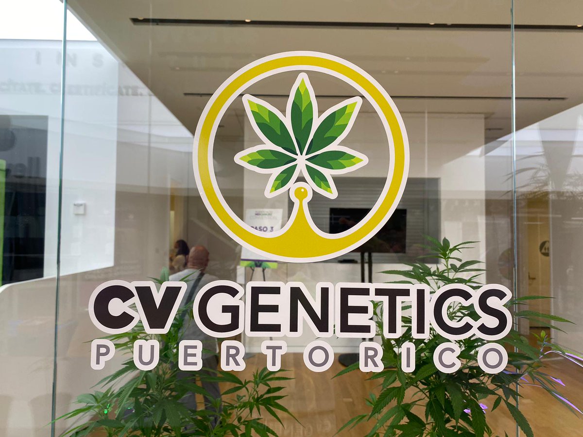 CVGenetics's tweet photo. Hoy desde el Puerto Rico MedCannBiz Convention. apoyando a la industria del #CannabisMedicinal y orientando sobre la importancia de contar con buena genética en los cultivos. @RevCronicas @PRmedcann https://t.co/cn7pSUSatc