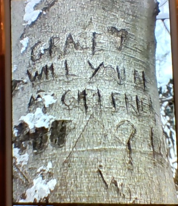 Kicking off a large project on human impact and taking a number of weeks to "observe" the potential issues, problems or opportunities that we could investigate. Trying something new.. asking students to take many photographs from their vantage point of what they see in real time.