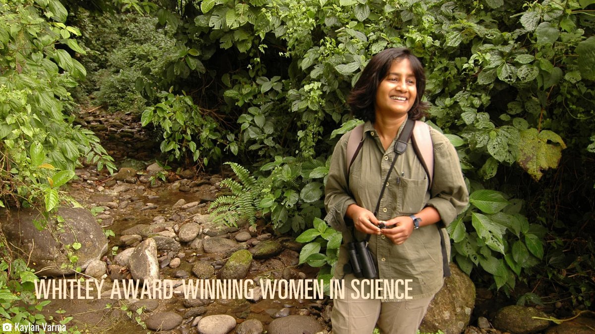 Citizen science #WomenInScience @AparajitaDatta4 gets the public to report sightings of hornbills online, to identify new areas for conservation in India.The Hornbill Watch website also shares key ecological information about these threatened birds. http://hornbills.in&nbsp;