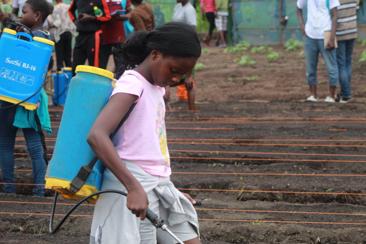 Les championnes de la science et de l’innovation sont nombreuses. 

En cette journée internationale des femmes et des filles de science, célébrons-les!

En commentaire, écris le nom d’une scientifique, chercheuse ou experte en innovation au Bénin que tu connais et qui t'inspire!