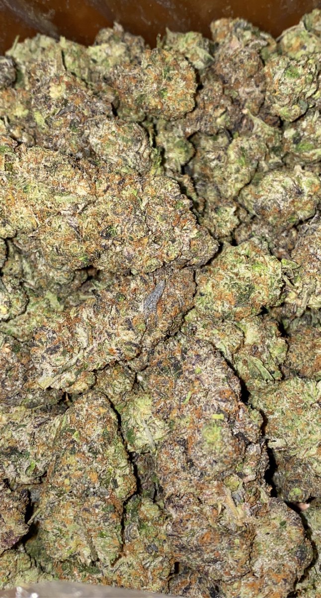 EZ7King420's tweet photo. That new 🔥 Scottie pippen lol This that strong pippen with the bulls type shit 😂 🤣 #happyThursDAZE  #CaliStoner #cookiemoney #topshelflife #StonerFam #onlysmokethefinest #cannabislover #cannafam #growyourown #cannabiscommunity #IamGDC #potporn #HighLifeLiving https://t.co/pjmlu2slFM