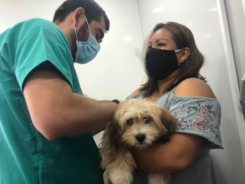 MuniSierraGorda's tweet photo. Tenemos excelentes noticias! La Clínica Veterinaria Móvil ya se encuentra atendiendo a todos las mascotas inscritas para el operativo de chipeo para 🐶. Pronto informaremos sobre horarios para esterilización y otros tipos de atenciones #SierraGorda #Baquedano https://t.co/CZRUTCdmIv
