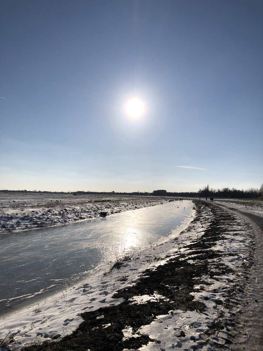 CeciliaLagos's tweet photo. Frozen beauty... ❄️🇳🇱❤️#DutchWinter https://t.co/YaV7qJcTyz