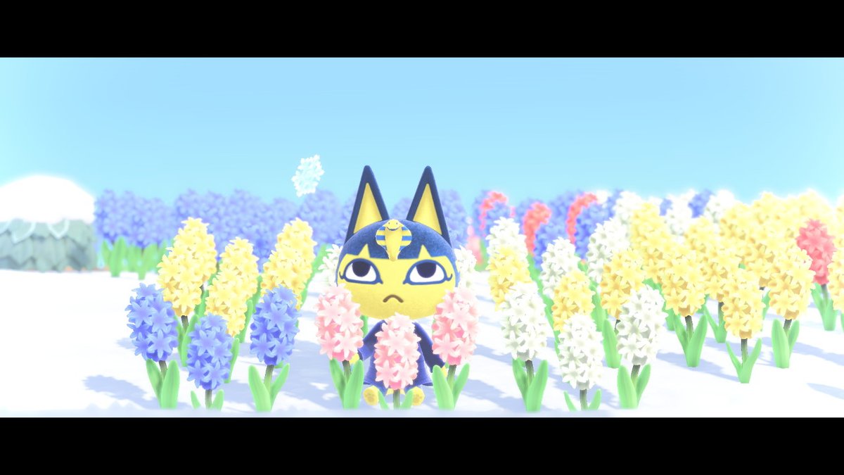IslandRepNova's tweet photo. Ankha Spam #Ankha #AnimalCrossing #ACNH #NintendoSwitch https://t.co/vE28DE5JLG