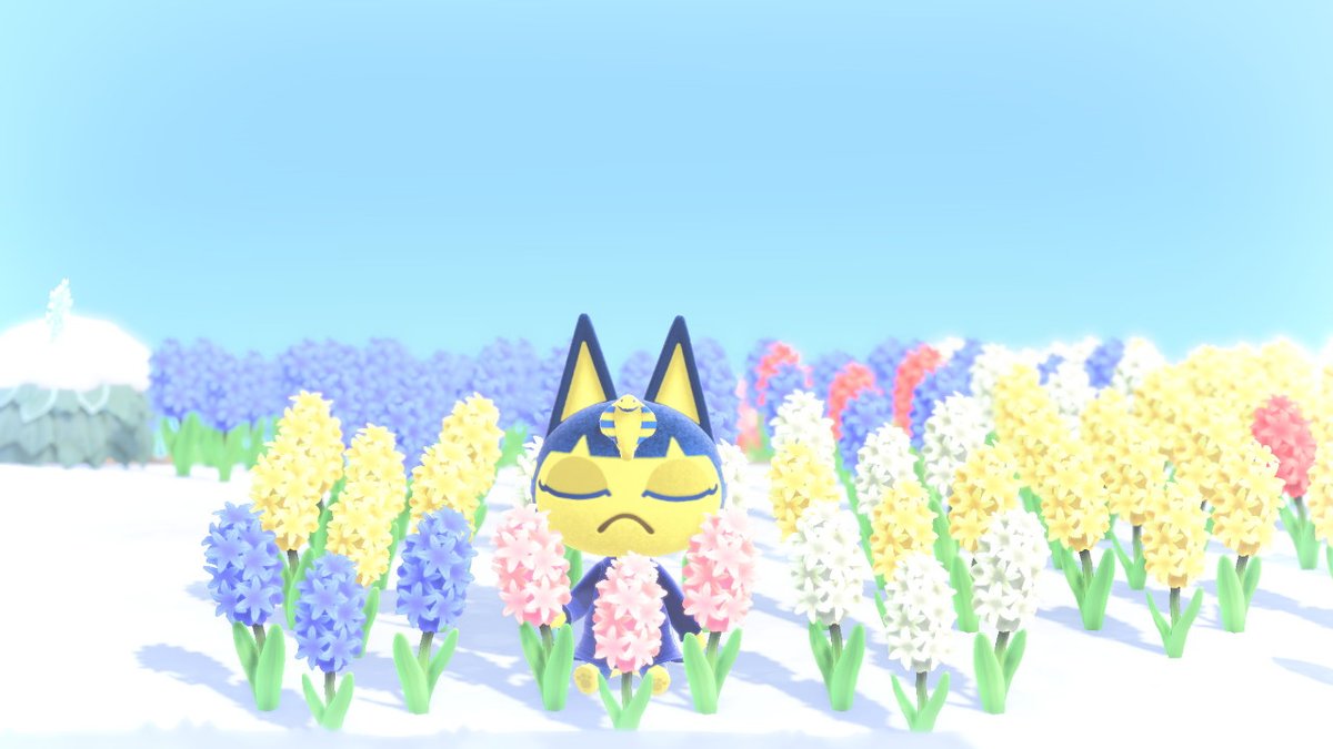 IslandRepNova's tweet photo. Ankha Spam #Ankha #AnimalCrossing #ACNH #NintendoSwitch https://t.co/vE28DE5JLG