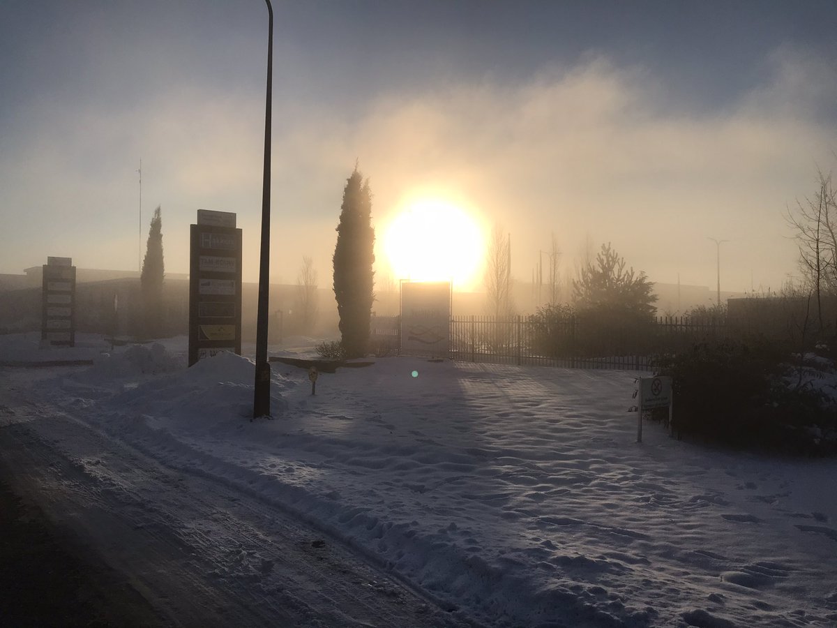 Goedemorgen Hardenberg! #ijskoud #vorst #hardenberg #vechtdal #winter2021